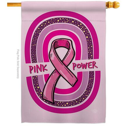 ORNAMENT COLLECTION 28 x 40 in. Pink Power House Flag H190178-BO